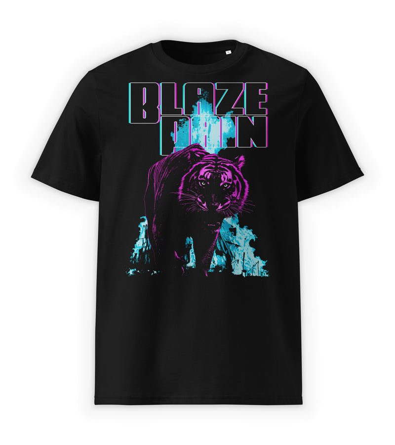 BLAZE PAIN